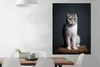 MuchoWow® Poster Katze - Haustiere - Licht 90x120 cm - Produktbild-Vorschau 2