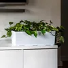 KADAX Doniczka Skrzynka Balkonowa + Wkład 19x56cm Biała Podgląd zdjęcia produktu 3