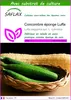SAFLAX  - Concombre éponge Luffa - 10 graines - Avec Voir les images du produit 1