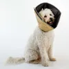 All Four Paws Hundekragen Comfy Cone S 14 cm Hellbraun Produktbild-Vorschau 2