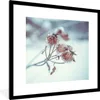 MuchoWow® Gerahmtes Poster Pflanzen - Winter - Schnee - Produktbild-Vorschau 1