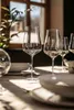 Zwiesel Glas DUO Bordeaux Rotweinglas 6er Set Produktbild-Vorschau 6