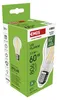 LED žárovka Filament A60 A CLASS / E27 / 3,8 W (60 W) / 806 lm / neutrální bílá Náhled obrázku produktu
