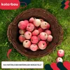 KOTARBAU® Proutěný koš s uchy Univerzální pro skladování a Náhled obrázku produktu 2