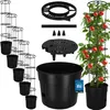A collage of a tomato plant growing in a pot with a support structure, alongside multiple empty pots and components of a plant support system. Náhľad obrázku produktu