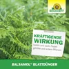 Neudorff Balsamol Blattdünger - Zur Düngung und sofortigen Produktbild-Vorschau 6