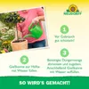 Neudorff Azet Zitrus und MediterranpflanzenDünger - 750g Produktbild-Vorschau 10