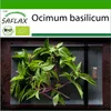SAFLAX - BIO - Bazalka thajská - Ocimum basilicum - 250 Náhľad obrázku produktu 10