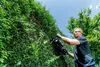 Tosasiepi Metabo HS 18 LTX BL 75 solo a batteria Anteprima dell’immagine prodotto 21