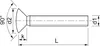 Beschlagsbefestigungsschrauben M5x80mm Linsenkopf, Messing Produktbild-Vorschau 3
