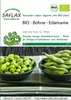 SAFLAX - Bio - Fasola - Edamame - 8 Nasiona - Glycine max Podgląd zdjęcia produktu 11