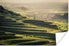 MuchoWow® Poster Blick auf einen Sonnenuntergang 180x120 cm Produktbild-Vorschau 2