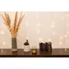 A shelf with decorative items including a vase of dried flowers, a small potted plant, a glass, and a stack of books. Fairy lights are strung on the wall behind the items. Produktbild-Vorschau