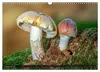 Kunstgalerie Wald - die verborgene Welt der Pilze Produktbild-Vorschau 7