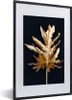 MuchoWow® MuchoWow® Gerahmtes Poster Schwarz und Gold - Produktbild-Vorschau 1
