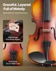 A violin is shown with close-up insets highlighting its bridge and finish. Produktbild-Vorschau
