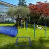PawHut agility-trainingsapparatuur voor honden, Productafbeelding-voorbeeld 2