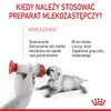 Royal Canin Babycat Milk, Kocięta, 300 g Podgląd zdjęcia produktu 3