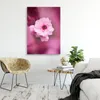 Leinwandbild kirschblüte auf rosa hintergrund 40x60 cm Produktbild-Vorschau 2