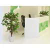 PAPERFLOW PAFIC120 Albero di fichi artificiali Anteprima dell’immagine prodotto 3