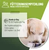 REAVET Bronchial Liquid Tropfen für Hunde 100ml I Liquid Produktbild-Vorschau 4