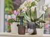 Gardena Postřikovač 1 L 11112-20 Náhled obrázku produktu 11