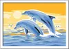 Ravensburger Malen nach Zahlen 28017 - Freunde des Meeres – Produktbild-Vorschau 2