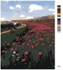 Zuty - Malen nach Zahlen - EIN FELD VON MOHNBLUMEN (PÁL Produktbild-Vorschau 3