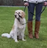 Trixie Top Trainer Ausbildungsgeschirr - max. 22 cm Produktbild-Vorschau 9