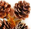 Sada 16 ks dekorací: Šišky přírodní se zápichem 5 cm Náhled obrázku produktu 2