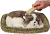 Cagnolino di peluche Perfect Petzzz Shih Tzu 96293 Anteprima dell’immagine prodotto 4