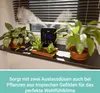 SUNTEC Monsun 6000, Schwarz, LED, Flur, Tisch, 40 W, 230 Produktbild-Vorschau 20