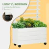 Planters met klimrek, bloembakken op wielen, verhoogde Productafbeelding-voorbeeld 7