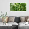 DEQORI Glasbild Echtglas 100x50 cm 'Mitten im Dschungel' Produktbild-Vorschau 3