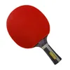 Pegasi Tischtennisschläger 7 Sterne - Table Tennis Racket - Produktbild-Vorschau 3