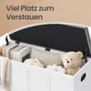 VASAGLE Truhe mit Stauraum, Truhenbank mit Deckel, für Produktbild-Vorschau 6