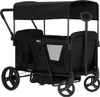 Fillikid Bollerwagen Oskar für 2 Kinder max. Produktbild-Vorschau 1