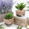 2er Set Künstliche Sukkulenten Glas Topf Deko Wohnzimmer Produktbild-Vorschau 7