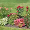 Relaxdays Rankhilfe 2er Set, Metall & Kunststoff, 150 cm Produktbild-Vorschau 5