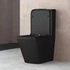 doporro WC à Poser Céramique Noir Mat Toilette avec Voir les images du produit 2
