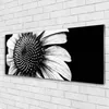 Glasbilder 125x50 Wandbild Druck auf Glas Blume Pflanzen Produktbild-Vorschau 2