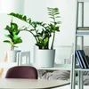 Blumentopf Dekotopf Runder Topf 30 cm Urbi Pflanztopf Für Produktbild-Vorschau 3