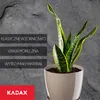 KADAX Blumentopf "Turi", Pflanzkübel mit Untersetzer, 18cm, Produktbild-Vorschau 7
