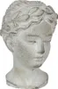 Clayre & Eef Busto 12x11x17 cm Pietra grigia Anteprima dell’immagine prodotto 2