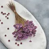 Getrocknete Glixia BIG (Comanthera) - Lavendel Produktbild-Vorschau 3