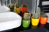 Several potted cacti are arranged on a black surface next to a white sink. Podgląd zdjęcia produktu