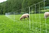 horizont Schafnetz turbomax high energy  50m x 105cm, Produktbild-Vorschau 4