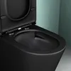 Mai & Mai Stand-WC aus Keramik spülrandloses-WC Anthrazit Produktbild-Vorschau 5