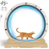 GTPLAYER looprad voor katten, extra groot (100 cm), Productafbeelding-voorbeeld 1