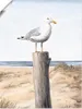 ARTland Poster Möwe Größe: 30x40 cm Produktbild-Vorschau 1
